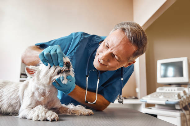 Best Dental Abscess Treatment in Faison, NC
